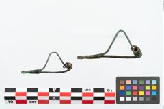 Foto von Bronzepaukenfibel (NHMW-PRAE-025974)